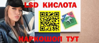 шишки Славянск-на-Кубани