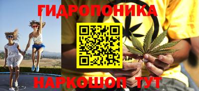 шишки Славянск-на-Кубани