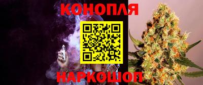 шишки Славянск-на-Кубани