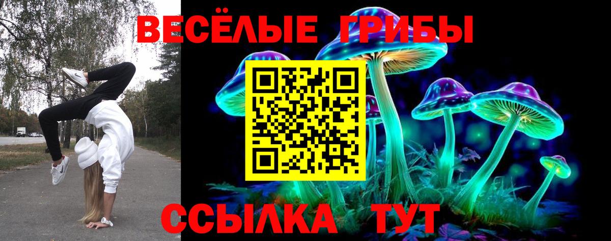 Галлюциногенные грибы MAGIC MUSHROOMS  Вход с VPN  Новодвинск 